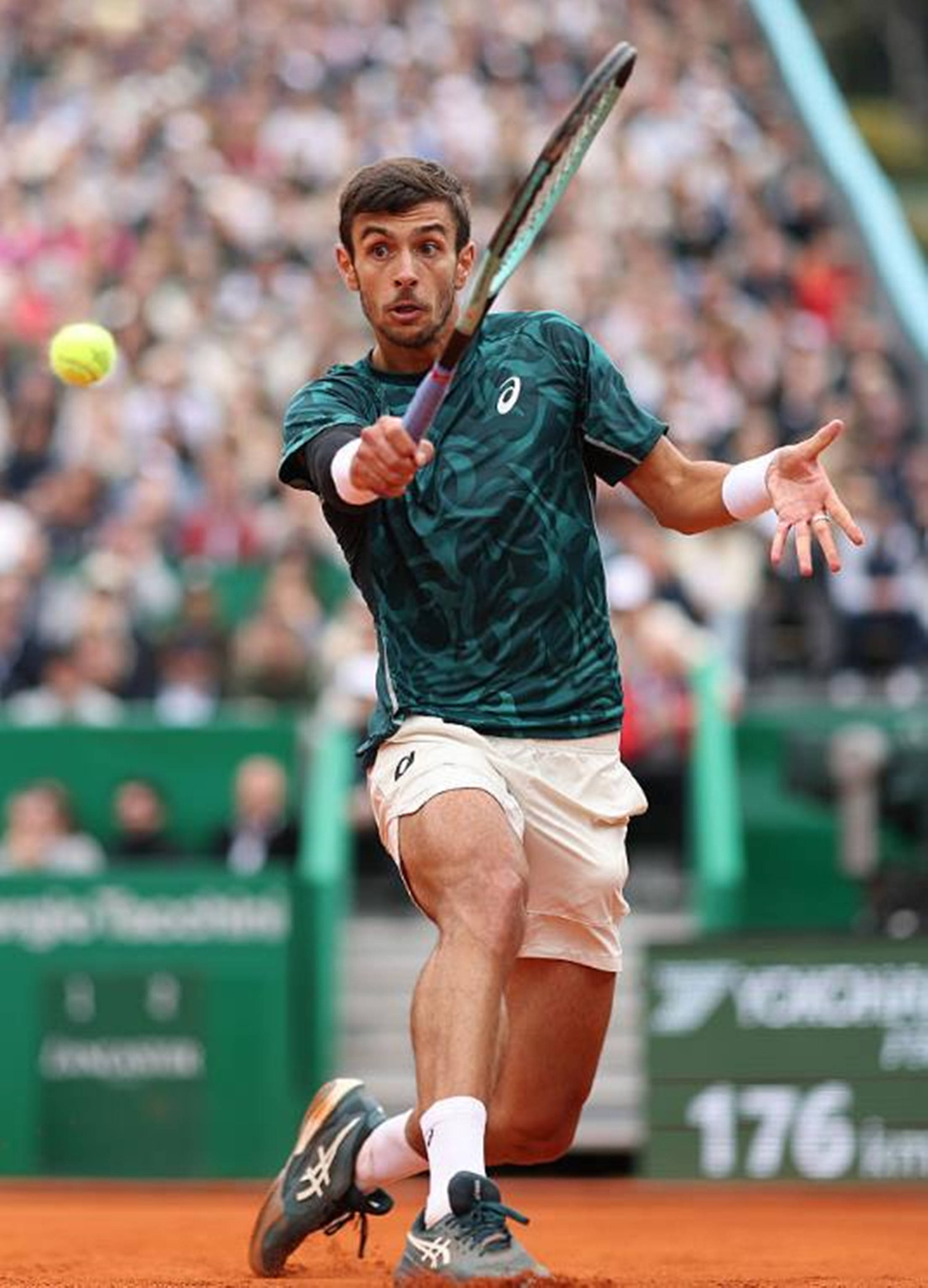 2个篮板的 2个篮板的